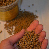 barley straw pellets for ponds