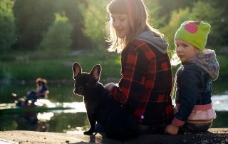 dogs pond water harmful algae bloom poisoning