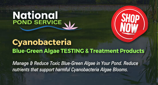 Cyanobacteria pond water testing treatment kits