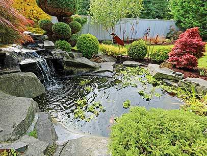 Leaking pond trouble shooting and solutions